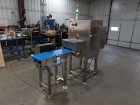 2025 Foodman Fxr-3017 X-ray System With Reject
